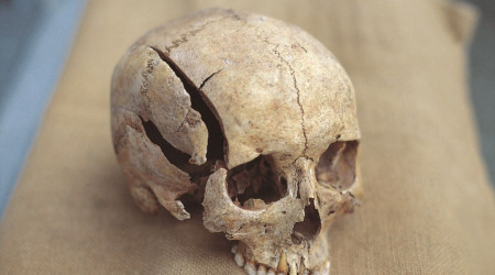 Foto: Joachim Wahl / Universit&auml;t T&uuml;bingen